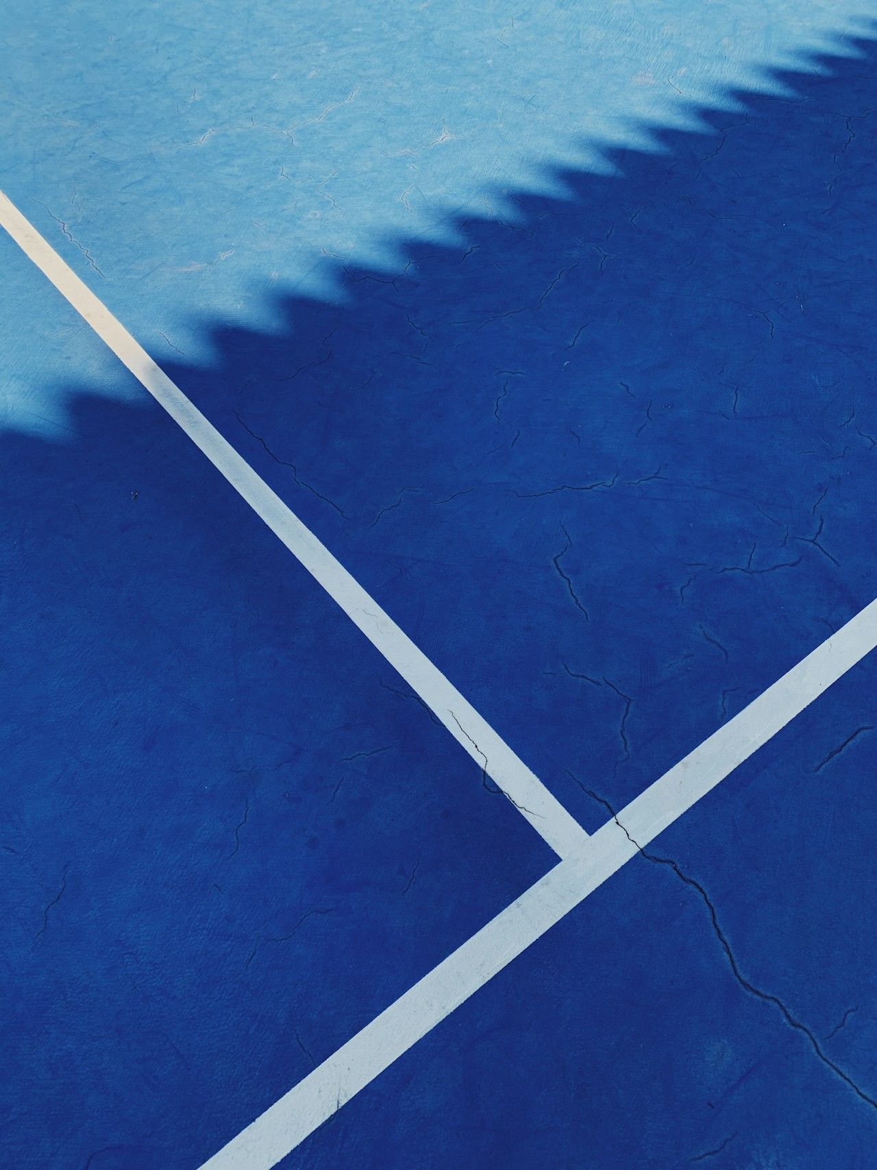 On the court